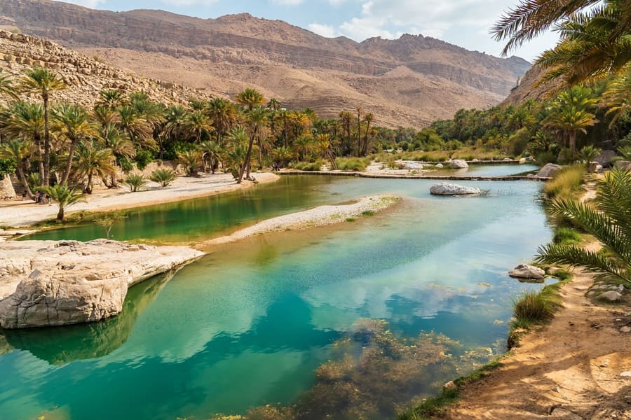 Oasis de Wadi Bani Khalid en el desierto en Omán.