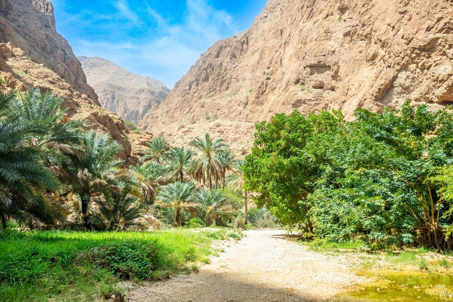 Oasis en medio del cañón de Wadi Shab, Tiwi, sultanato de Omán