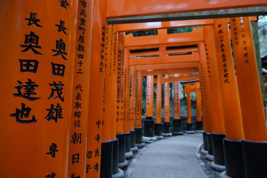 Un camino serpentea a través de un túnel formado por arcos torii naranjas con inscripciones en kanji negro dentro de un bosque en Fushimi Inari-taisha.