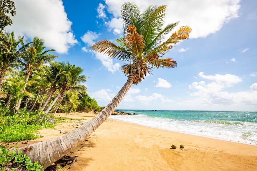 Playa Flamenco, Puerto Rico