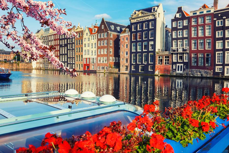 Casas tradicionales a la orilla de un canal se reflejan en el agua, rodeadas por flores rojas en primer plano y ramas con flores rosadas. Texto visible: "MOM".