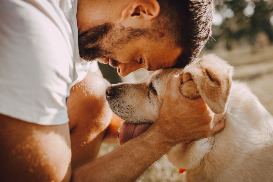 viajar con mascotas perro junto a hombre en gesto cariñoso juntando las caras