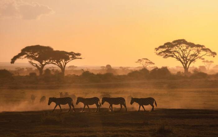 requisitos para viajar a kenia