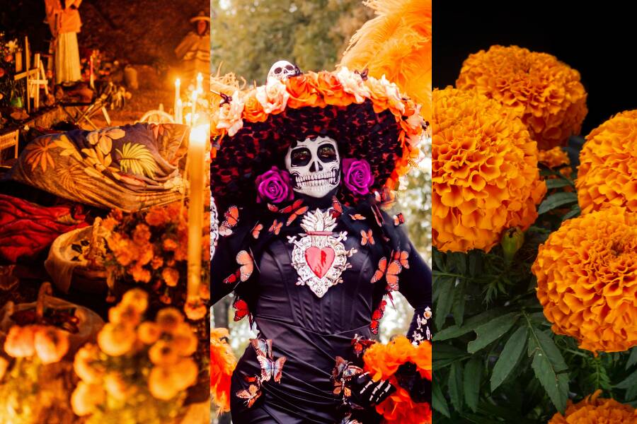 Tríptico que muestra un altar tradicional, una Catrina vestida con traje floral y flores de cempasúchil anaranjadas en primer plano.