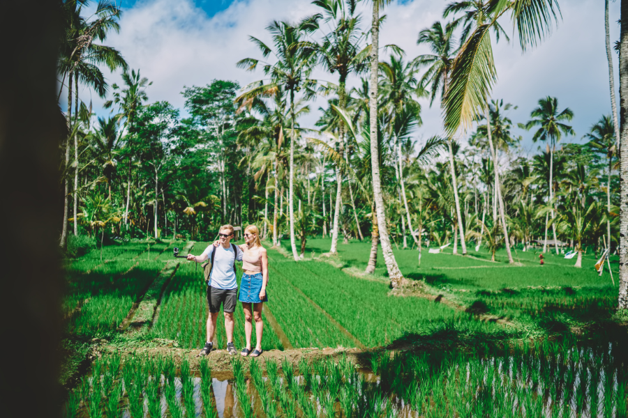 Una pareja posa de pie en medio de verdes arrozales rodeados de altas palmeras tropicales.