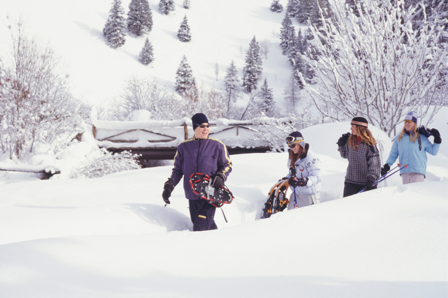 Un grupo de cuatro personas camina con raquetas por la nieve profunda cerca de pinos nevados en los Alpes.